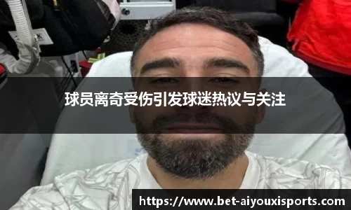爱游戏公司