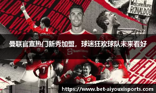爱游戏公司