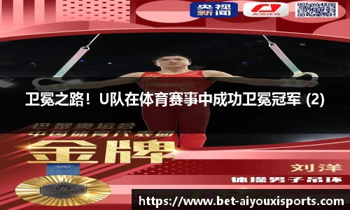 爱游戏公司